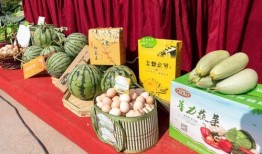 淮北吃瓜最新事件爆料,揭秘背后惊人真相！