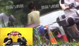 张颖颖爆料记者视频播放,揭秘娱乐圈幕后真相