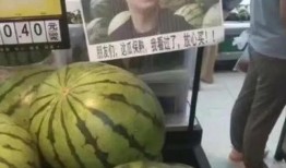 东北网红吃瓜是谁呀图片,揭秘网络红人的魅力瞬间