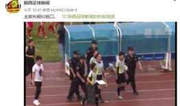 陕西爆料最新新闻事件视频,XX事件视频引发社会关注