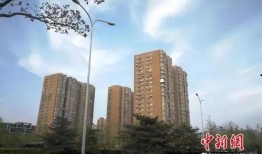 爆料洛阳楼盘黑料视频下载,揭秘背后惊人真相