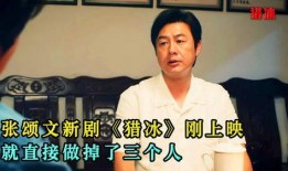 王老三爆料张老五视频播放,视频播放背后的惊人真相