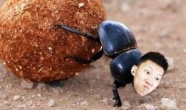 娱乐吃瓜酱屎壳郎,吃瓜酱屎壳郎的趣味人生